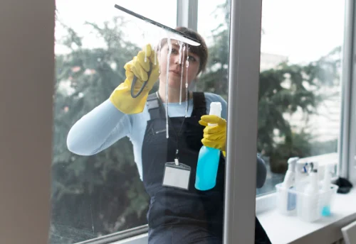 Nettoyage de vitres intérieures et extérieures à Saint-Martin-la-Sauveté